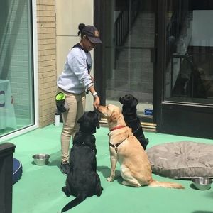 Meet your Posher, Deannie